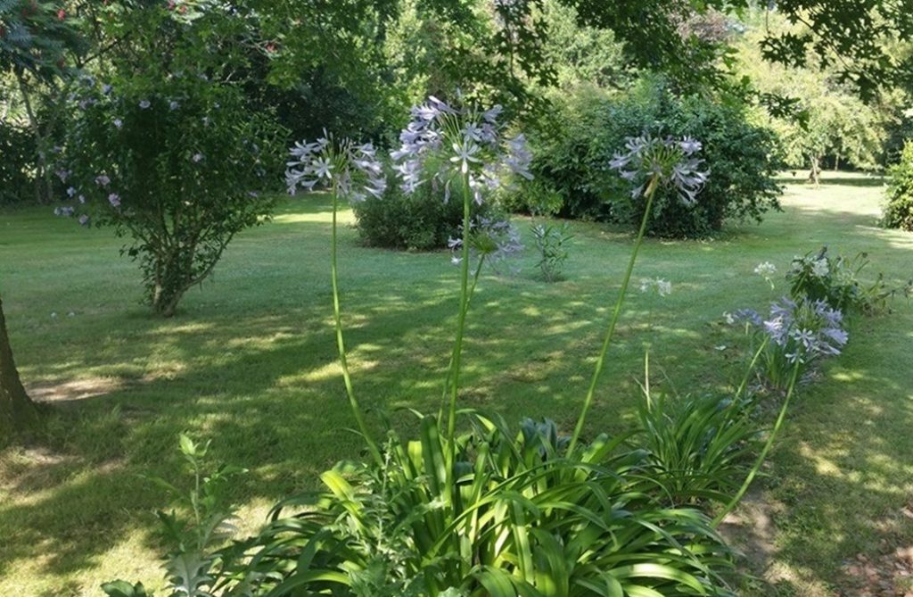 Tonte, taille de haie, taille de restructuration, débroussaillage, tailles diverses, désherbage