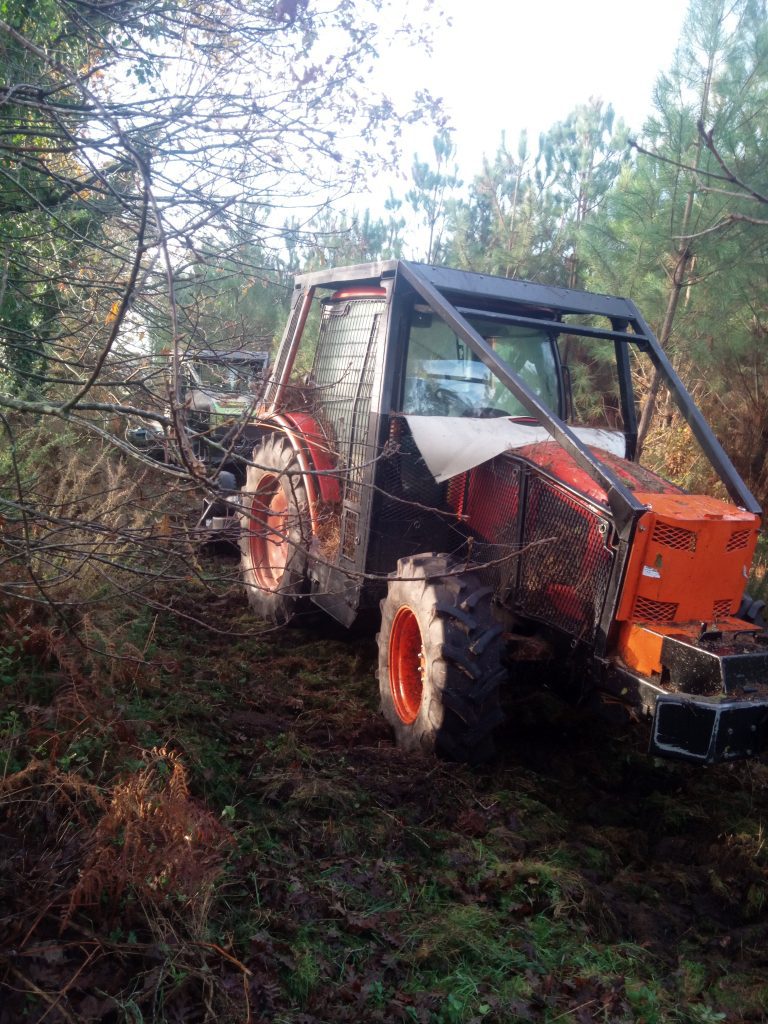 Débroussaillements forestiers, abattage / débardage, élagage, marquage, plantation, dépressage